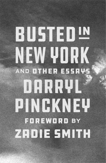 Book cover (grey and white) with capital letters, Busted in New York